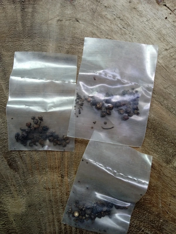 Pimienta en grano's foto | Bazar de la tarántula 🕷 |  BizneCubano